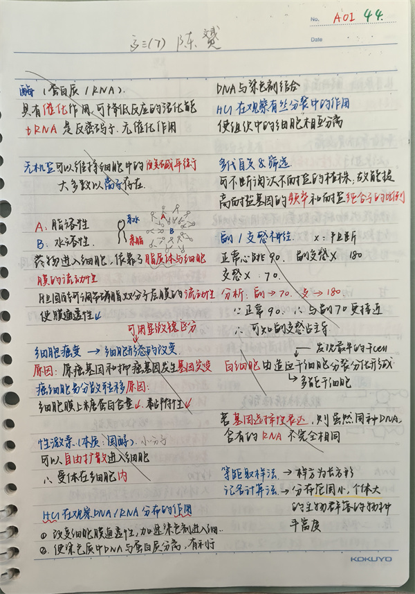 生物笔记.jpg 生物笔记.jpg