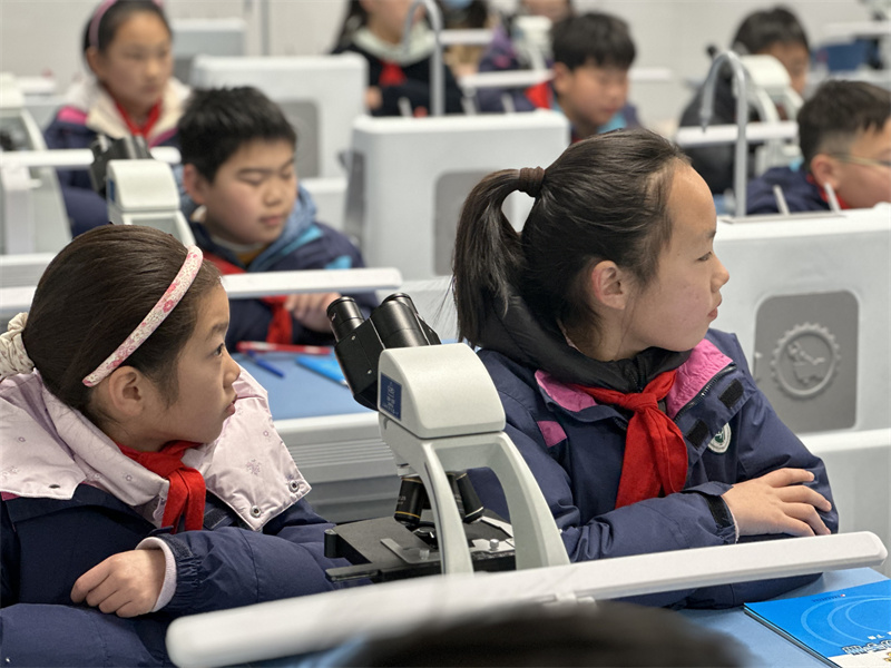 学生认真听讲.jpg