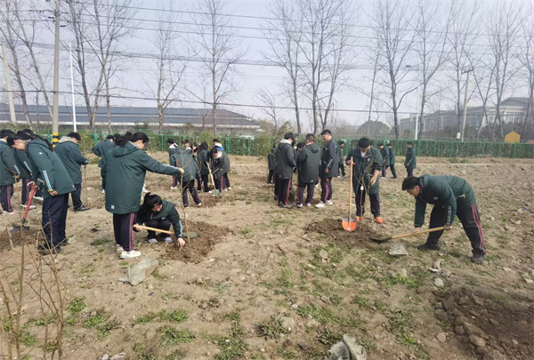 种植果树2.jpg