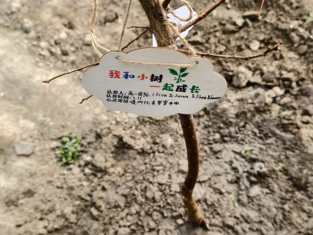 图片 6