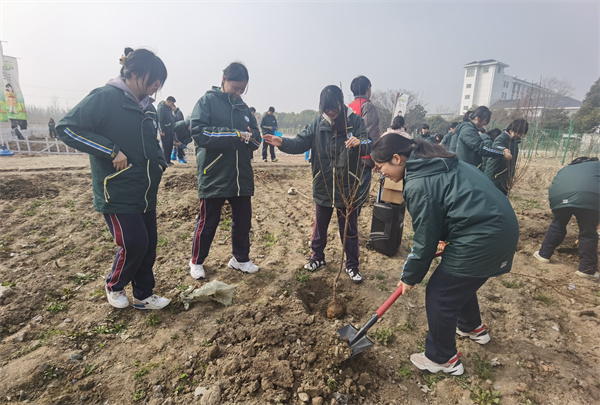 种植果树1.jpg