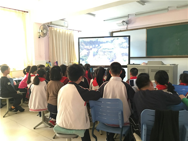 2 观影现场.jpg