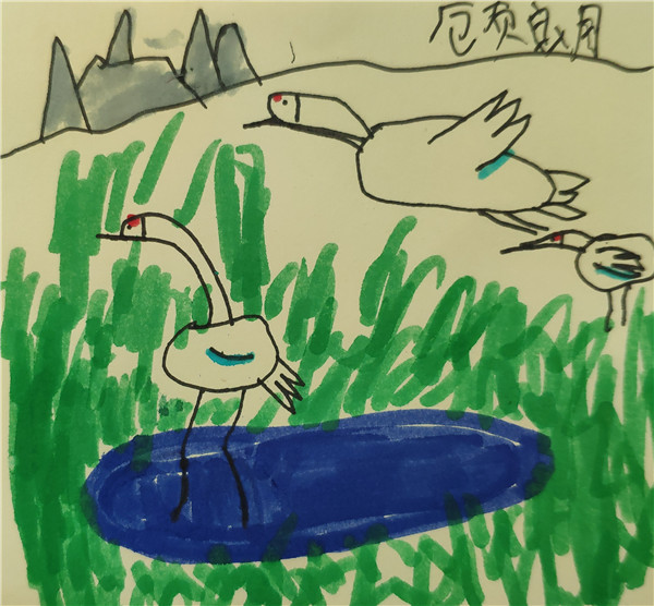 2顾朗小朋友观影作品.jpg