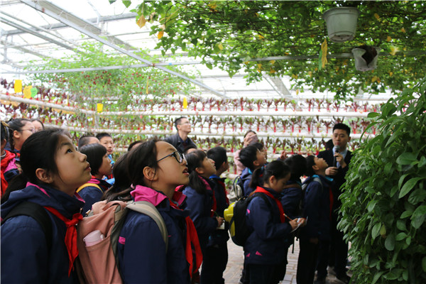 1 学生参观现代农业展示中心.jpg