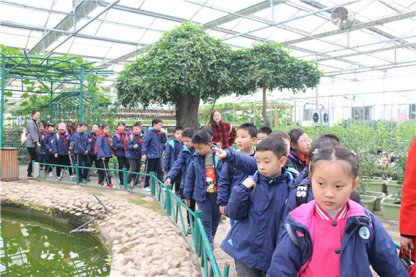 3   学生们有序游览.jpg