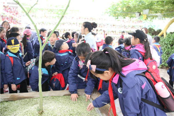 2    学生仔细研究植物、泥土.jpg