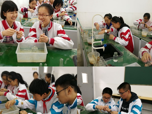 快乐的化学实验。.jpg