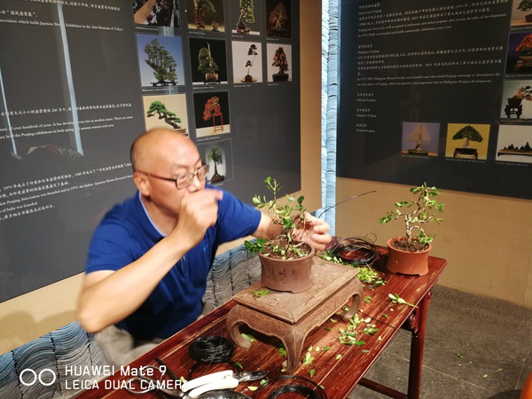 图7：大师细致讲解、示范.jpg