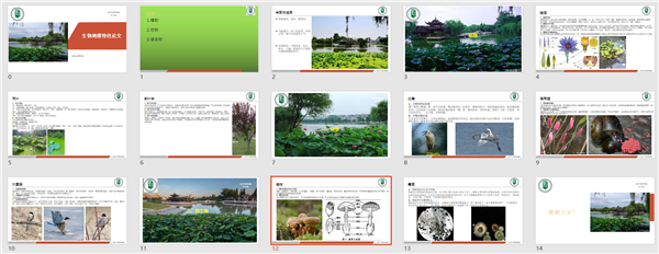 PPT展示5.png