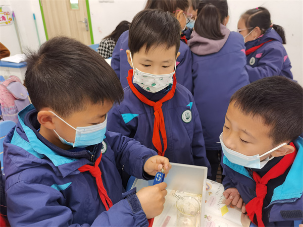 小组合作完成实验.jpg