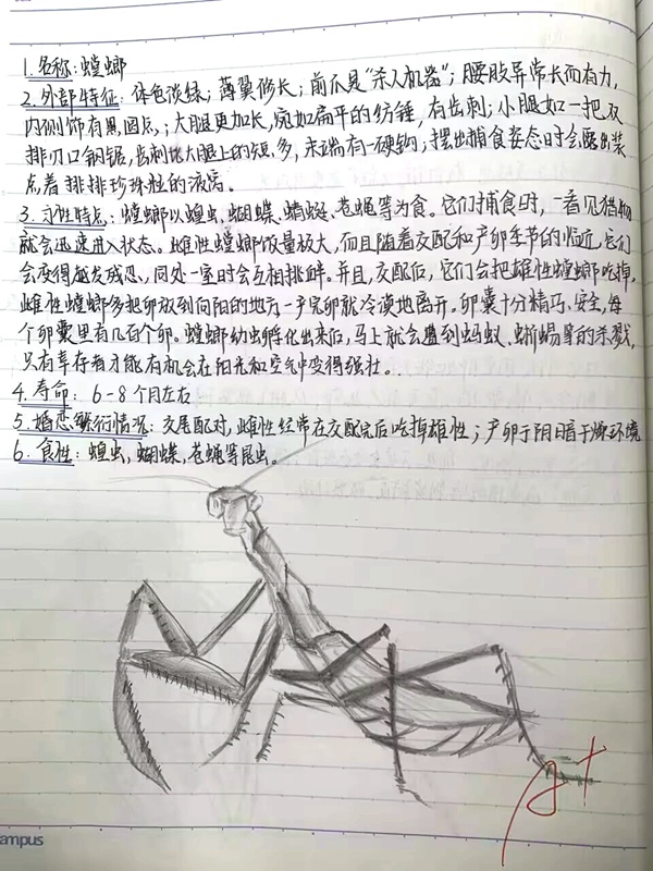 N_PA3~SQ0KIHU31O6_V_RJN_tmb.jpg