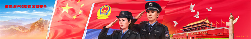 10统筹维护和塑造国家安全.jpg