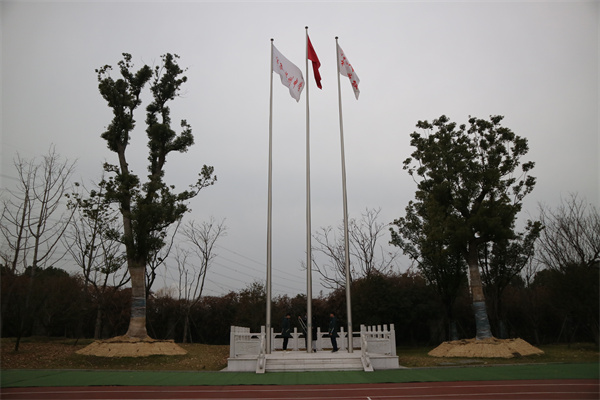 红旗迎风飘扬.jpg
