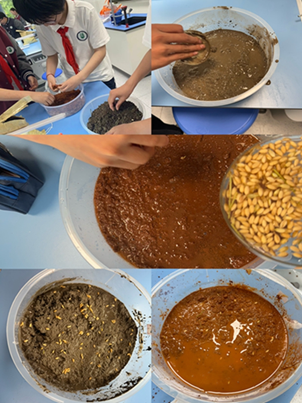 不同土壤种植实验.JPG
