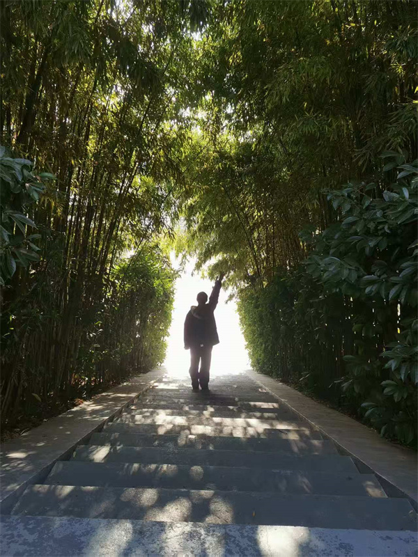 逆光而行留影.jpg 逆光而行留影.jpg