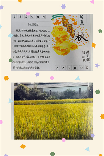 明信片5.jpg