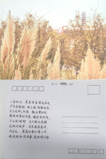 明信片7.jpg
