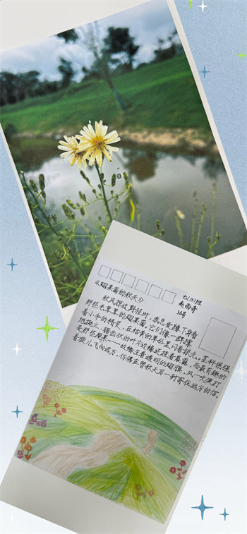 明信片4.jpg