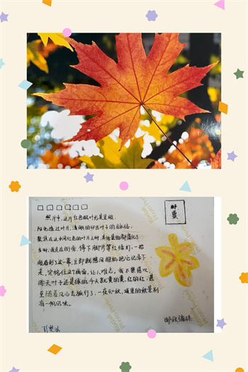 明信片2.jpg
