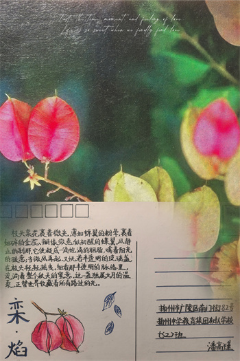 明信片16.jpg