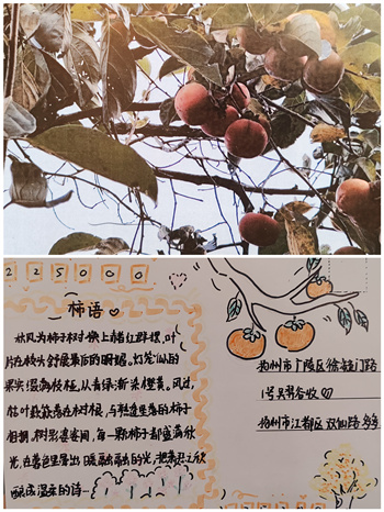 明信片12.jpg