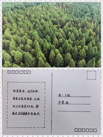 明信片3.jpg