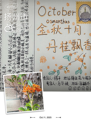 明信片8.jpg