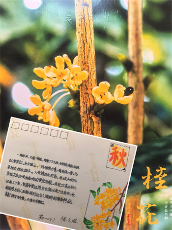 明信片15.jpg