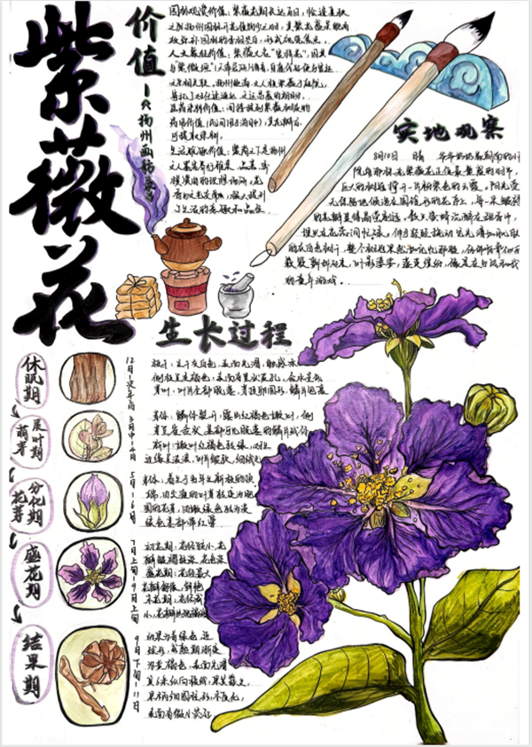 地理特等奖获奖者高二4班袁诺妍.png