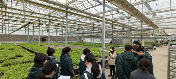 学生参观育苗基地.png