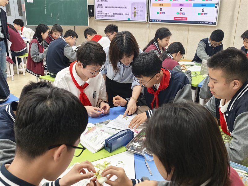 老师指导解剖花的结构.jpg