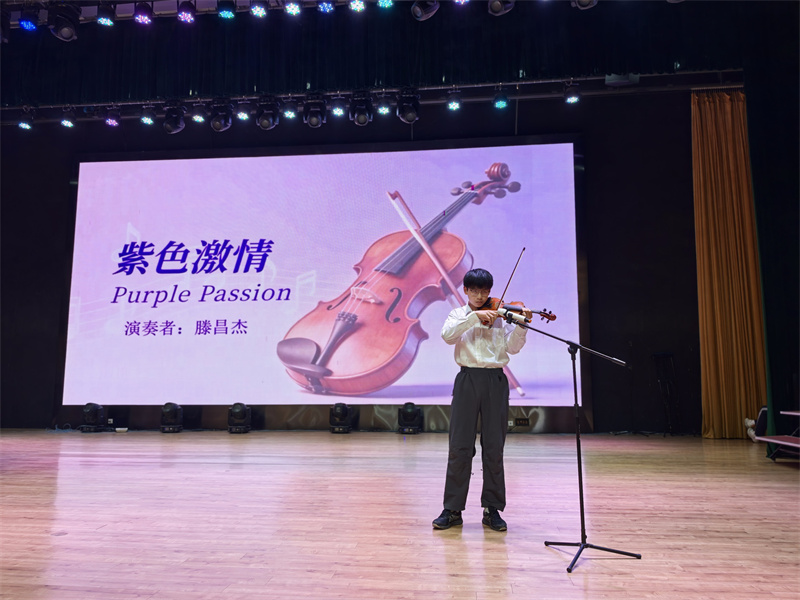 7 滕昌杰 《紫色激情》小提琴.jpg 7 滕昌杰 《紫色激情》小提琴.jpg