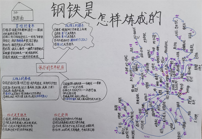 初一(3)班张语涵 思维导图.jpg
