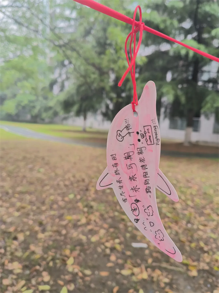 640 (1).webp (1).png