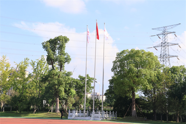 6X2A2907.jpg 6X2A2907.jpg